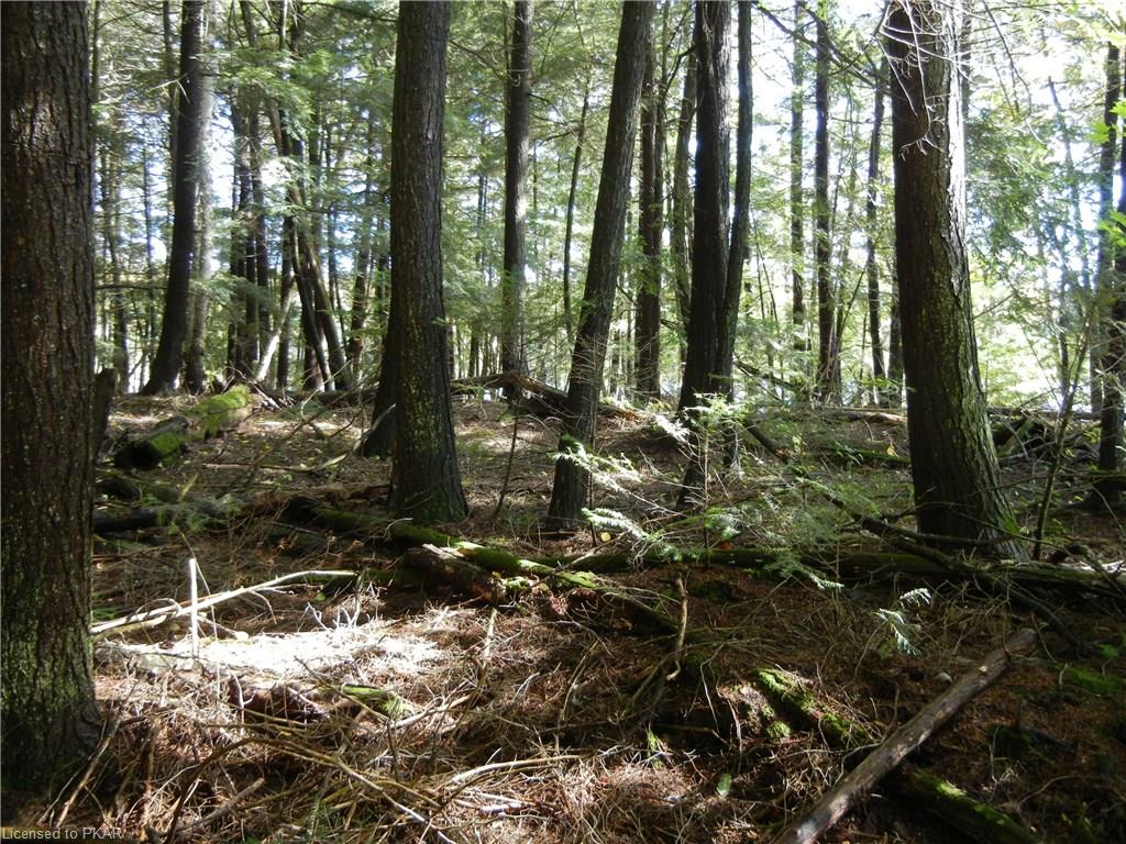 40 ACRES WINTER'S BAY ESTATES Road, North Kawartha Township, Ontario, Canada
