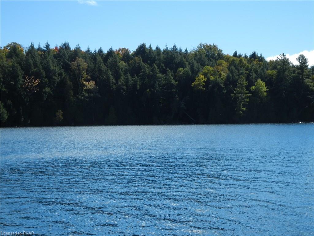40 ACRES WINTER'S BAY ESTATES Road, North Kawartha Township, Ontario, Canada