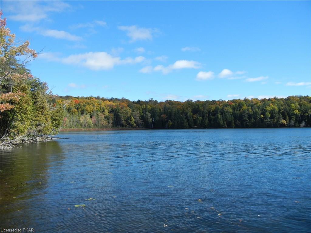 40 ACRES WINTER'S BAY ESTATES Road, North Kawartha Township, Ontario, Canada