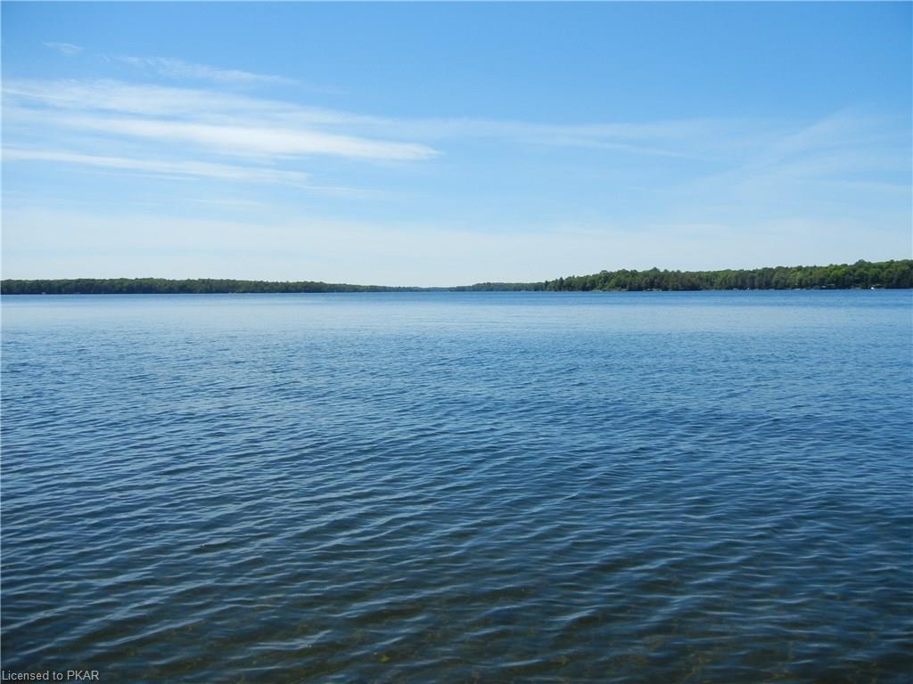 98 FITCH Lane, North Kawartha Township, Ontario, Canada