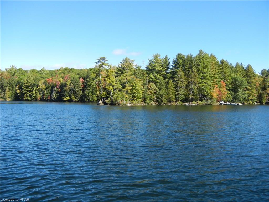 69 DOC EVANS Road, North Kawartha Township, Ontario, Canada