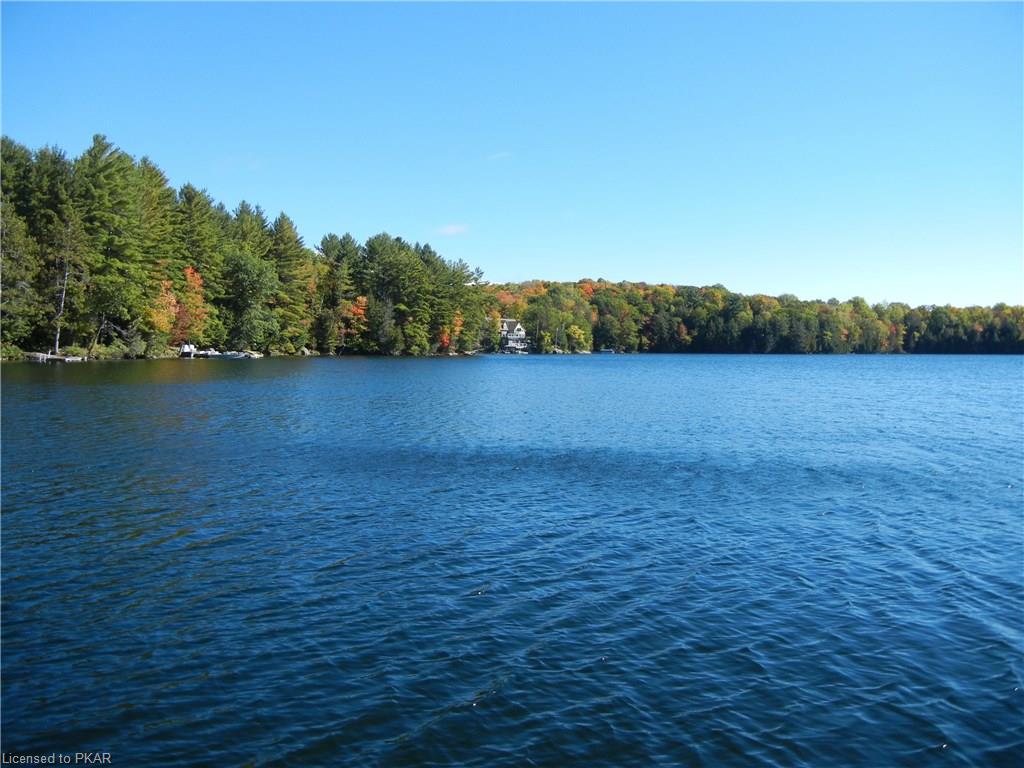 69 DOC EVANS Road, North Kawartha Township, Ontario, Canada
