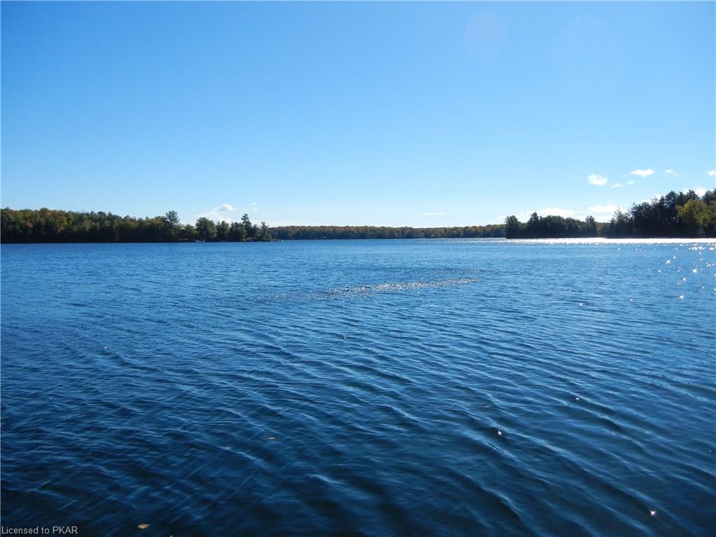 69 DOC EVANS Road, North Kawartha Township, Ontario, Canada