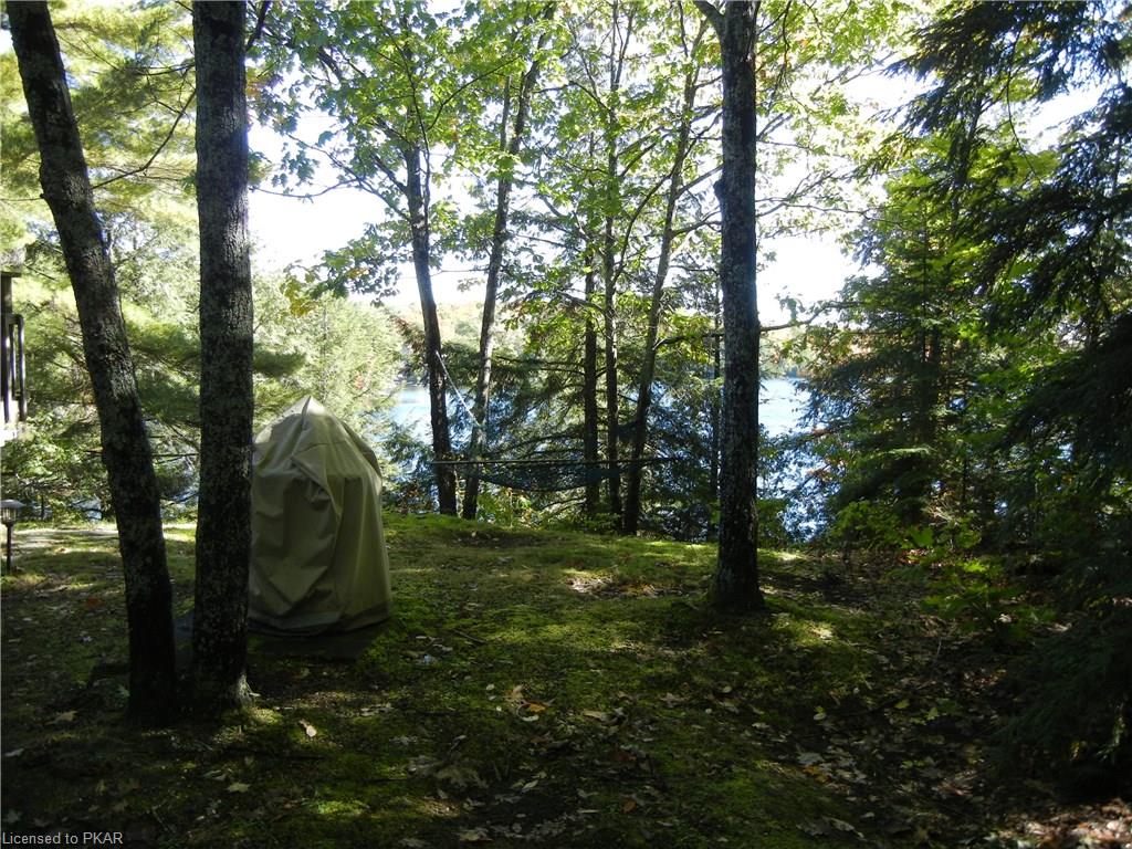 69 DOC EVANS Road, North Kawartha Township, Ontario, Canada