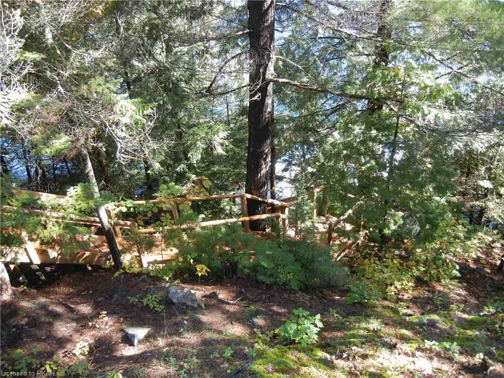 69 DOC EVANS Road, North Kawartha Township, Ontario, Canada