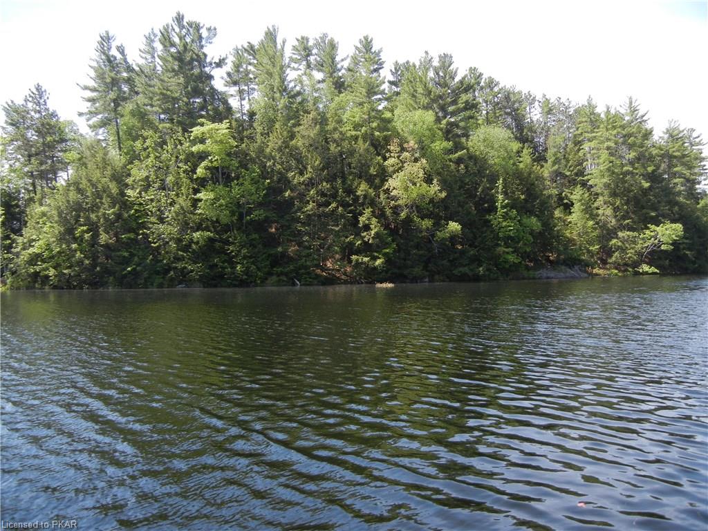 3 LONG LAKE HONEY ISLAND, North Kawartha Township, Ontario, Canada