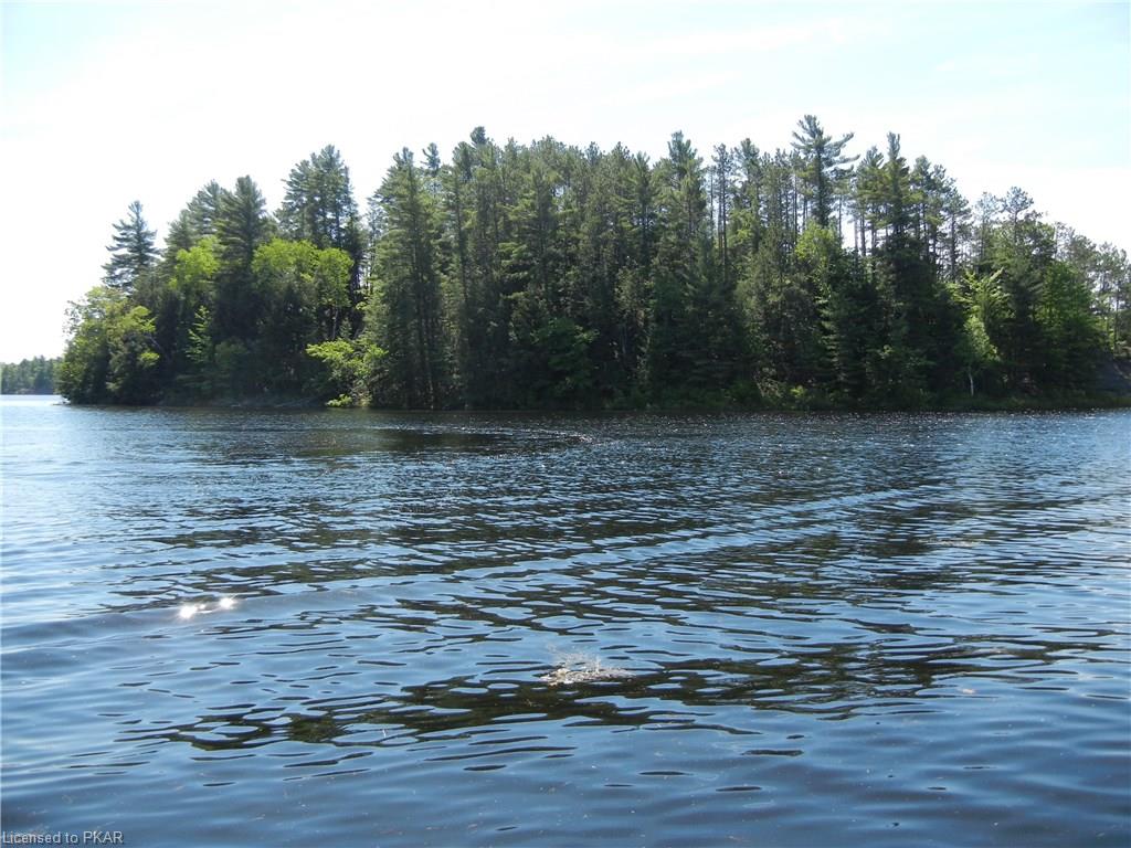 3 LONG LAKE HONEY ISLAND, North Kawartha Township, Ontario, Canada