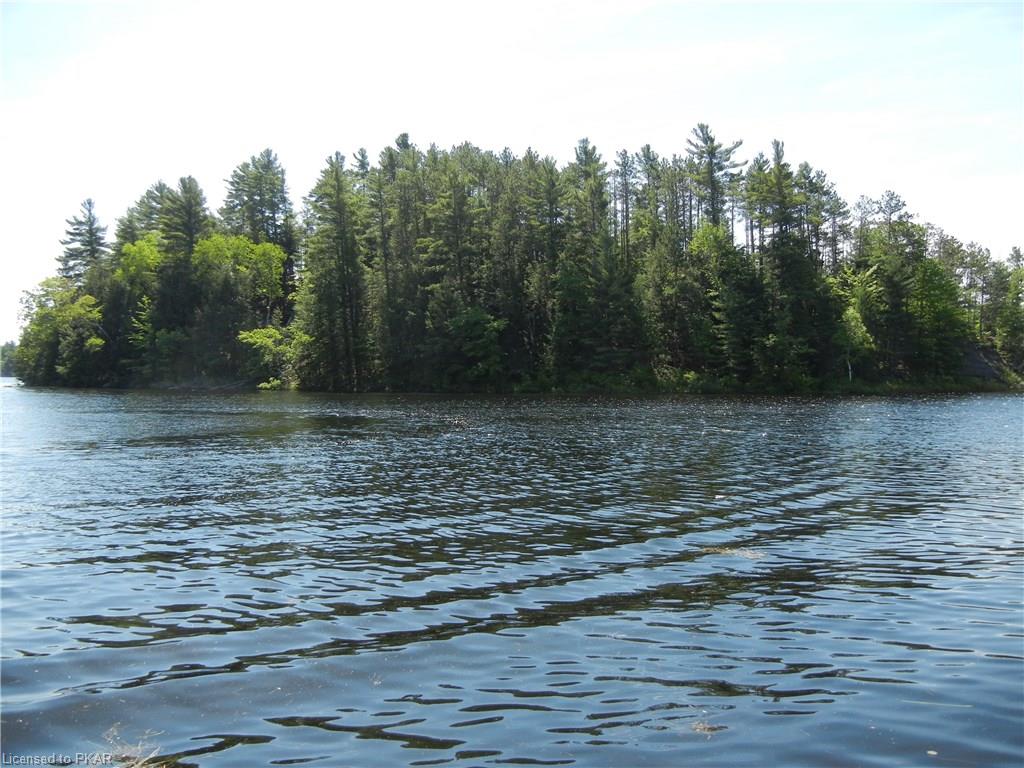 3 LONG LAKE HONEY ISLAND, North Kawartha Township, Ontario, Canada