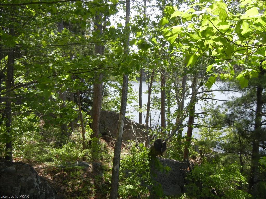 3 LONG LAKE HONEY ISLAND, North Kawartha Township, Ontario, Canada