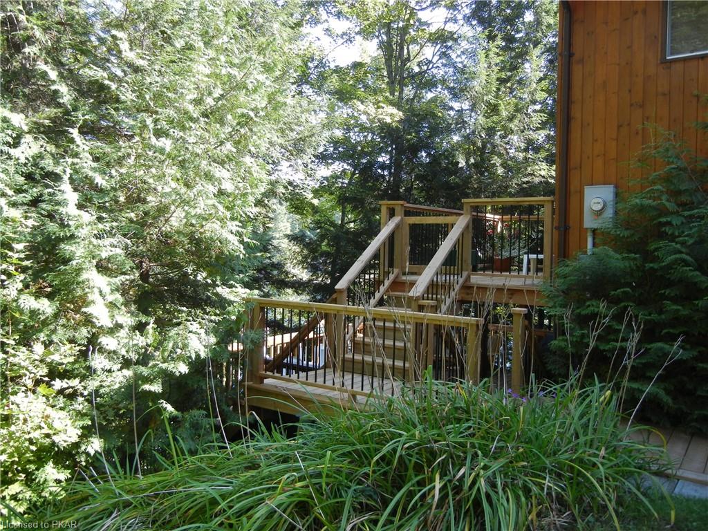 161 NEWT'S Road, North Kawartha Township, Ontario, Canada