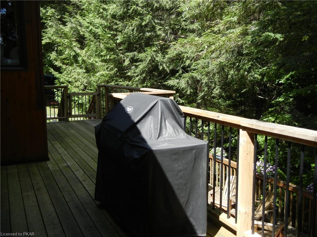 161 NEWT'S Road, North Kawartha Township, Ontario, Canada