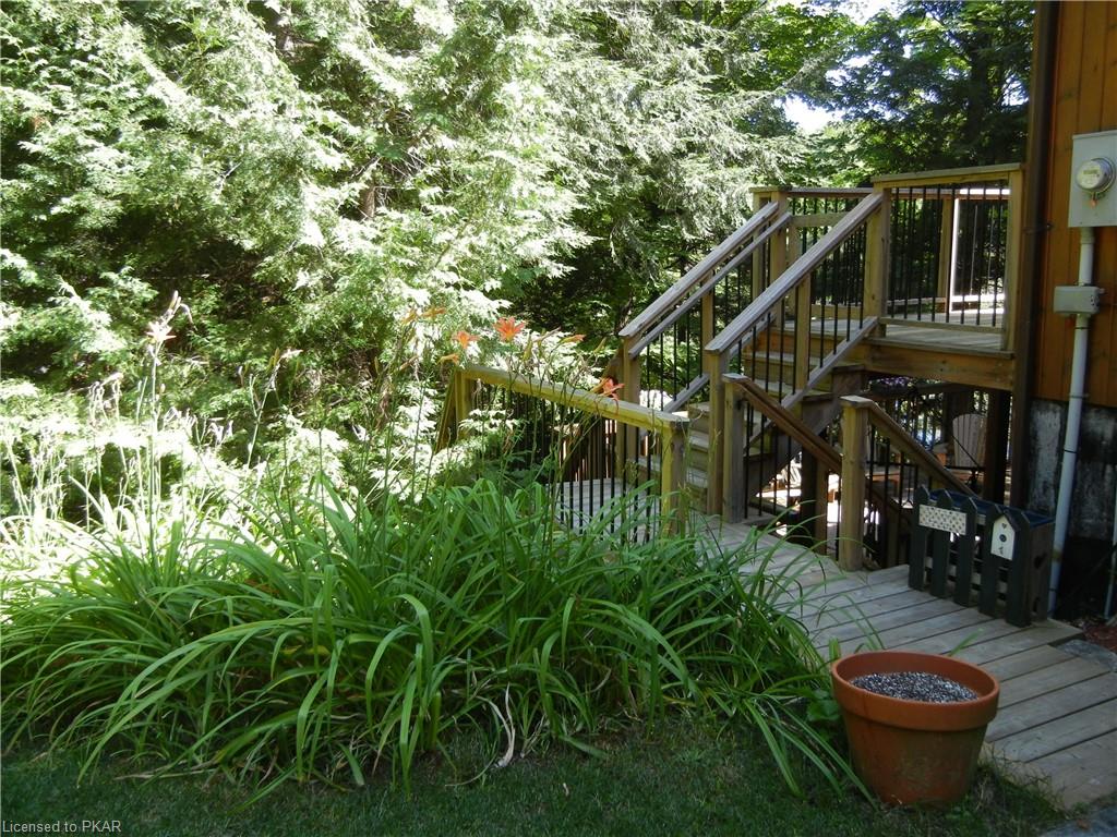 161 NEWT'S Road, North Kawartha Township, Ontario, Canada