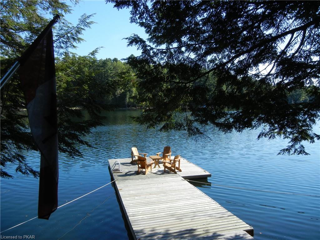 161 NEWT'S Road, North Kawartha Township, Ontario, Canada