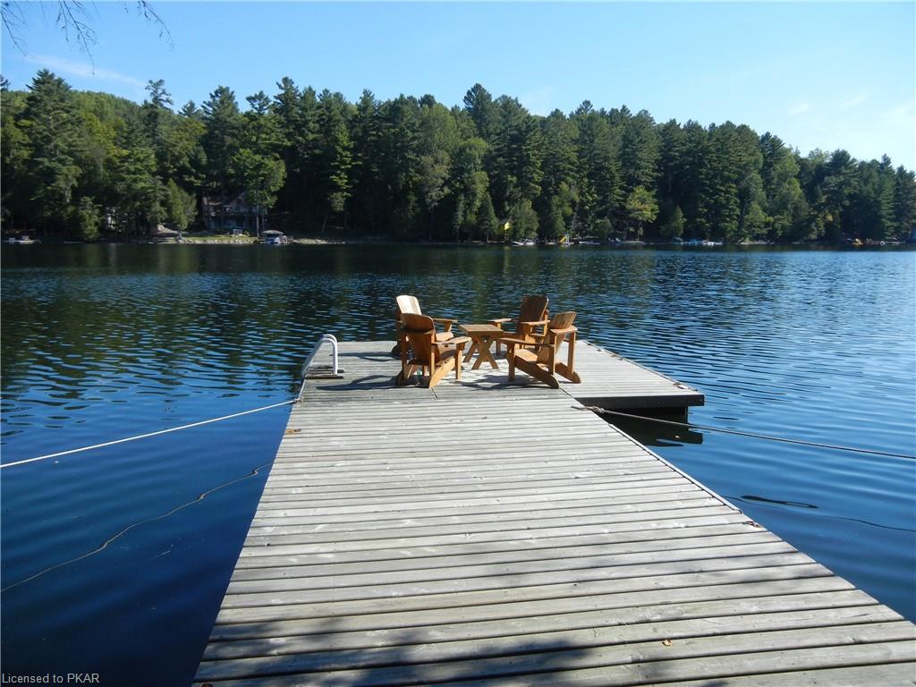 161 NEWT'S Road, North Kawartha Township, Ontario, Canada