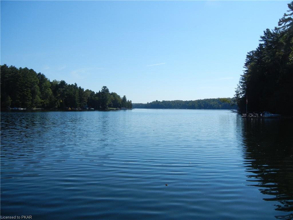 161 NEWT'S Road, North Kawartha Township, Ontario, Canada