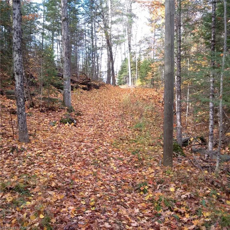 . COUNTY ROAD #620 ., North Kawartha Township, Ontario, Canada