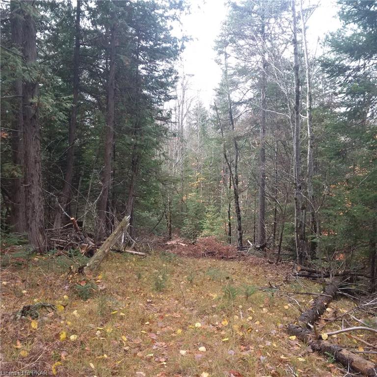 . COUNTY ROAD #620 ., North Kawartha Township, Ontario, Canada