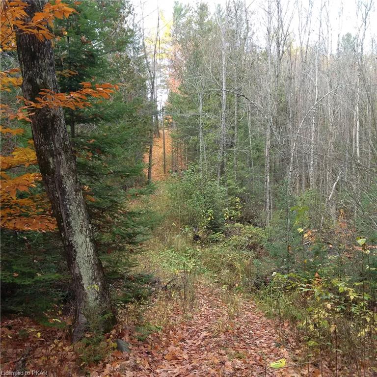 . COUNTY ROAD #620 ., North Kawartha Township, Ontario, Canada