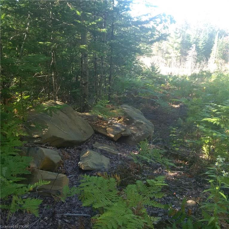 . COUNTY ROAD #620 ., North Kawartha Township, Ontario, Canada