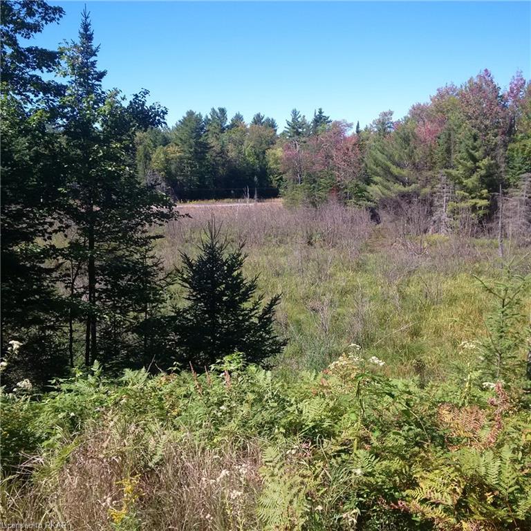 . COUNTY ROAD #620 ., North Kawartha Township, Ontario, Canada