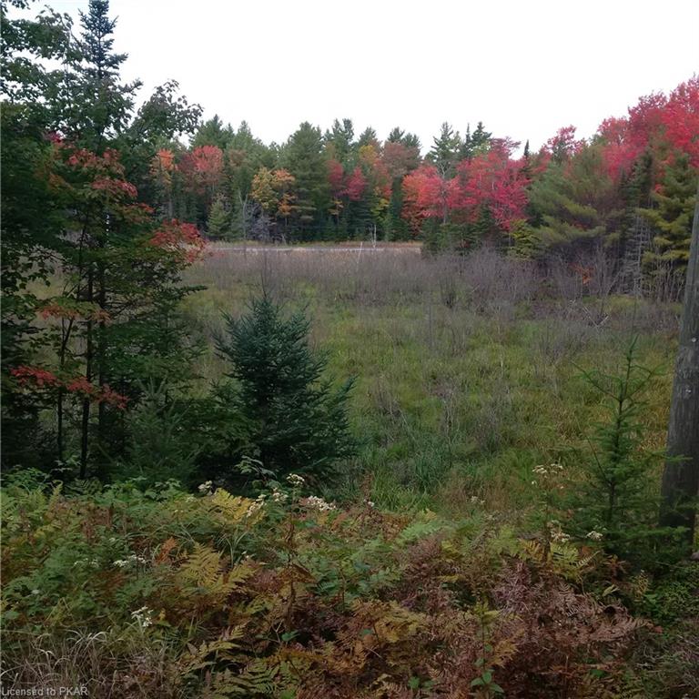 . COUNTY ROAD #620 ., North Kawartha Township, Ontario, Canada