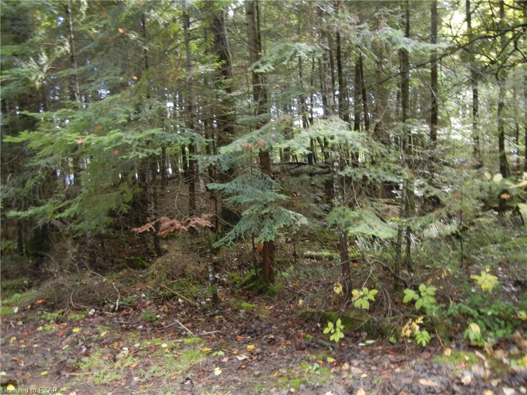 40 ACRES WINTER'S BAY ESTATES Road, North Kawartha Township Ontario, Canada
