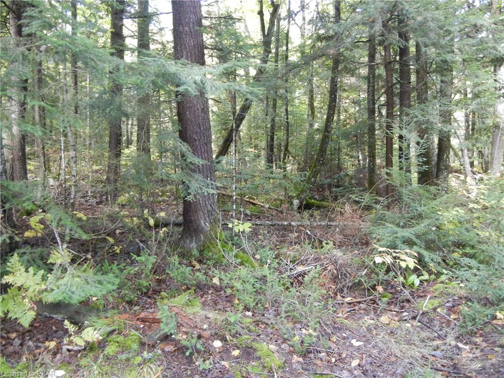 40 ACRES WINTER'S BAY ESTATES Road, North Kawartha Township Ontario, Canada