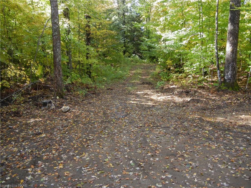 1 WINTER'S BAY ESTATES Road, North Kawartha Township, Ontario, Canada