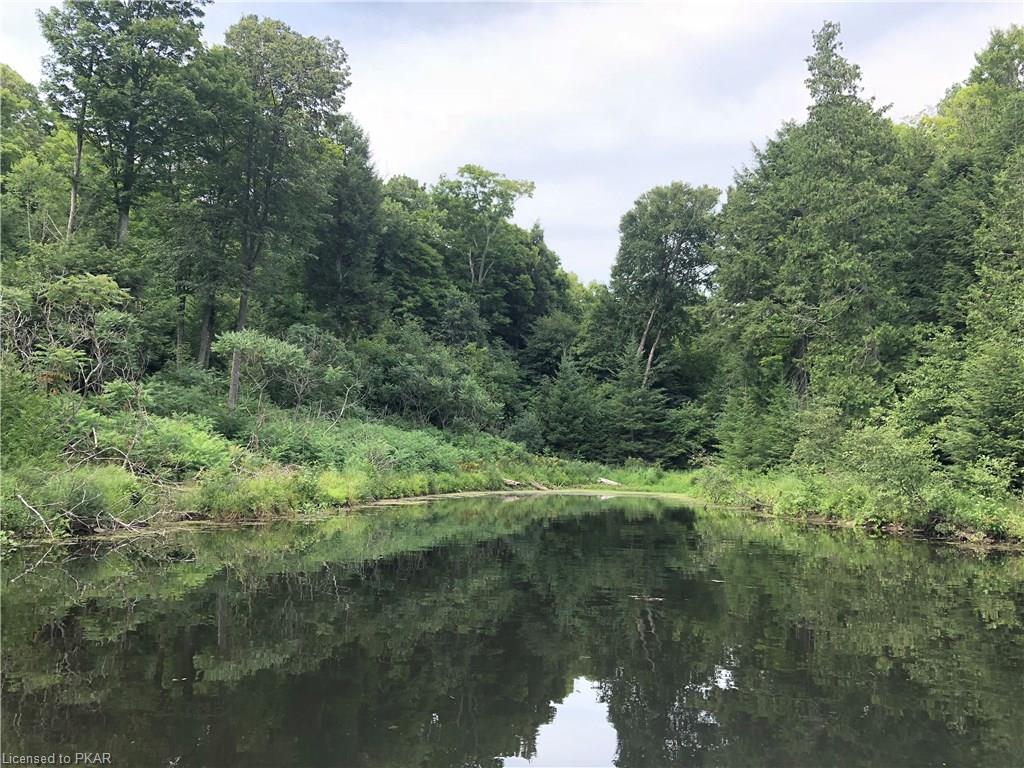 KNOX POINT Road, North Kawartha Township, Ontario, Canada