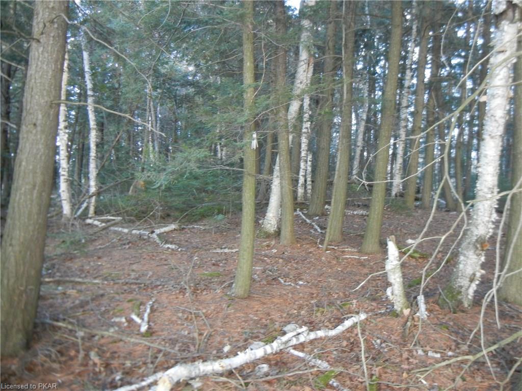 KNOX POINT Road, North Kawartha Township, Ontario, Canada