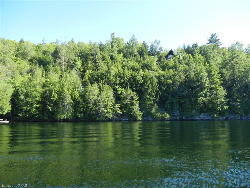 ANTELOPE Trail, North Kawartha Township, Ontario, Canada