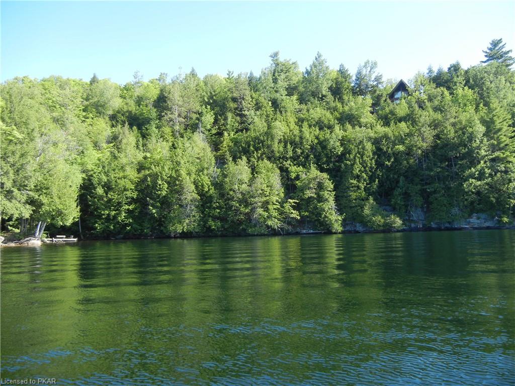 ANTELOPE Trail, North Kawartha Township, Ontario, Canada