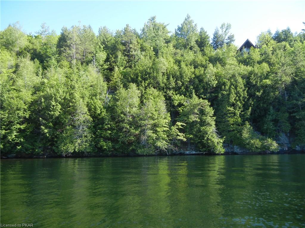 ANTELOPE Trail, North Kawartha Township, Ontario, Canada