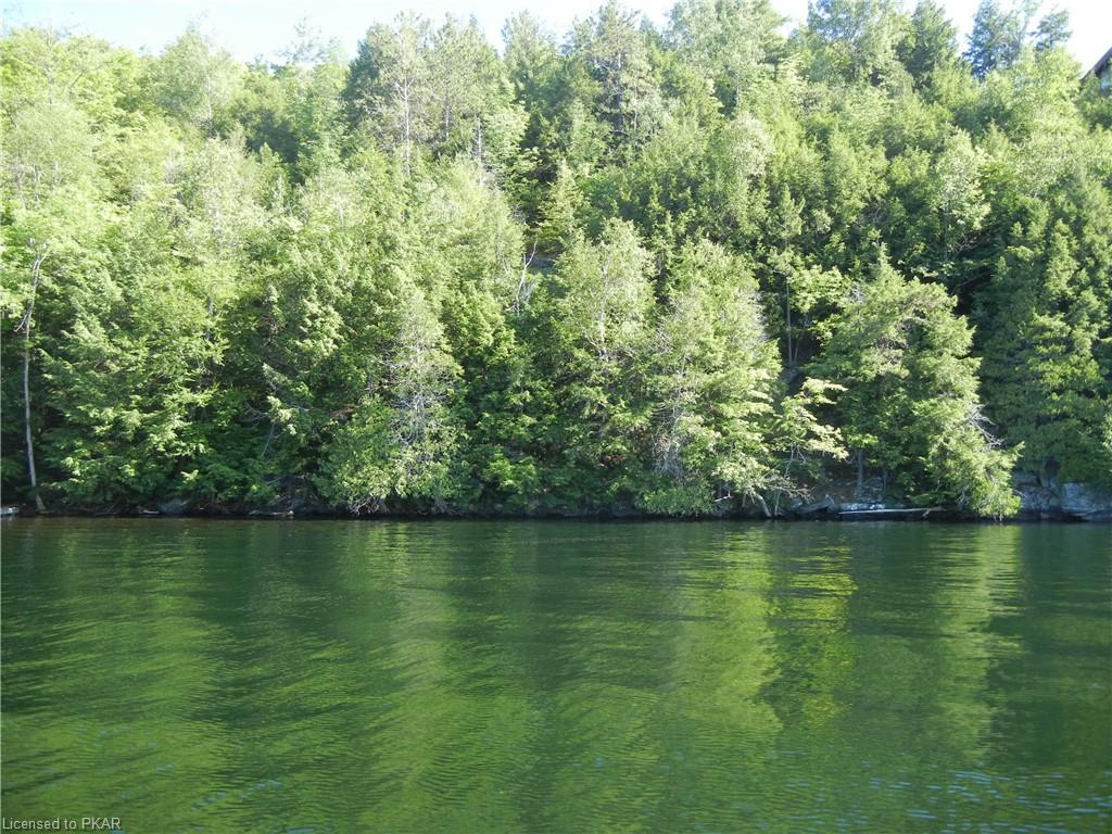 ANTELOPE Trail, North Kawartha Township, Ontario, Canada