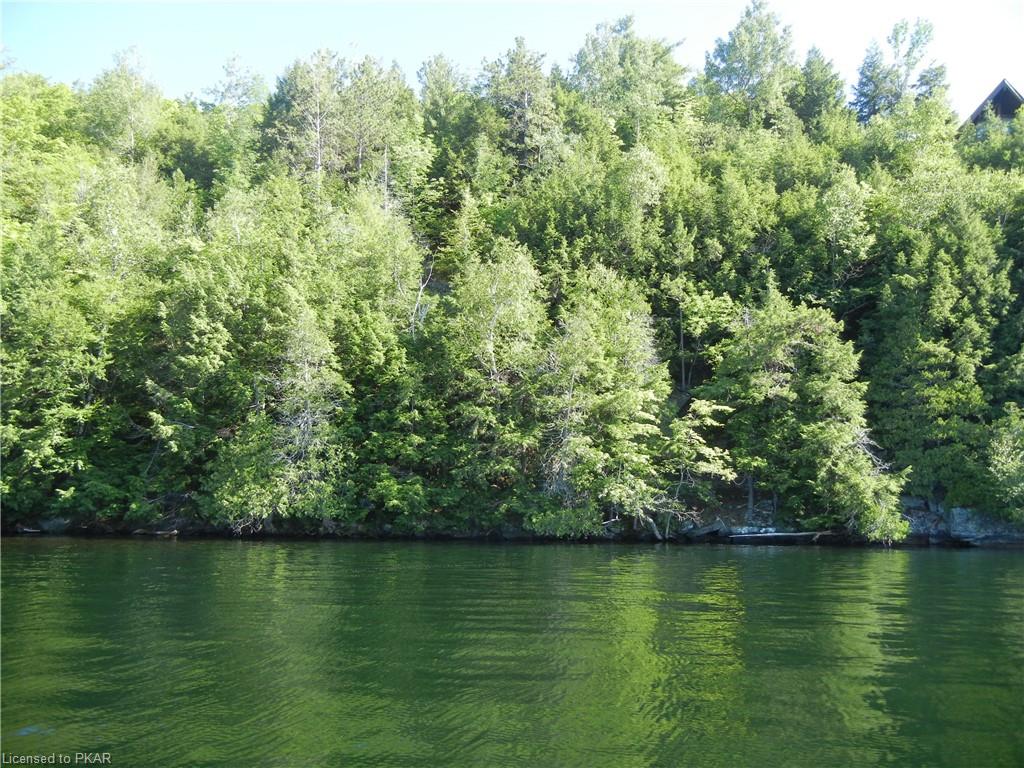 ANTELOPE Trail, North Kawartha Township, Ontario, Canada