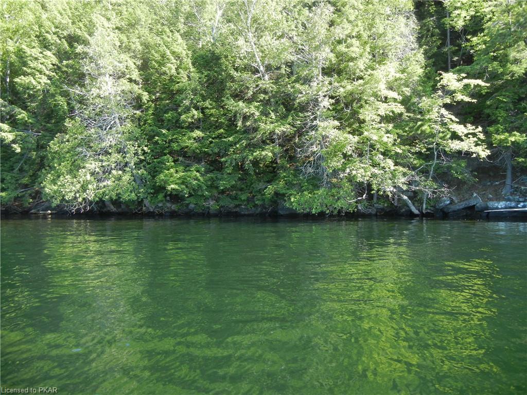 ANTELOPE Trail, North Kawartha Township, Ontario, Canada