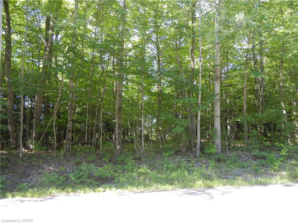 ANTELOPE Trail, North Kawartha Township, Ontario, Canada