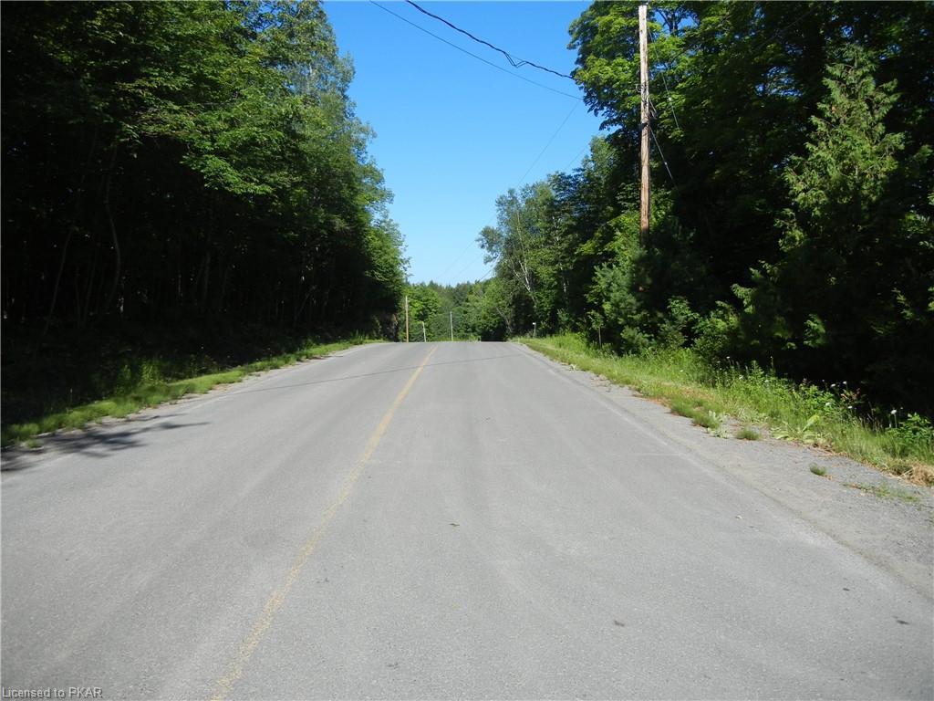 ANTELOPE Trail, North Kawartha Township, Ontario, Canada