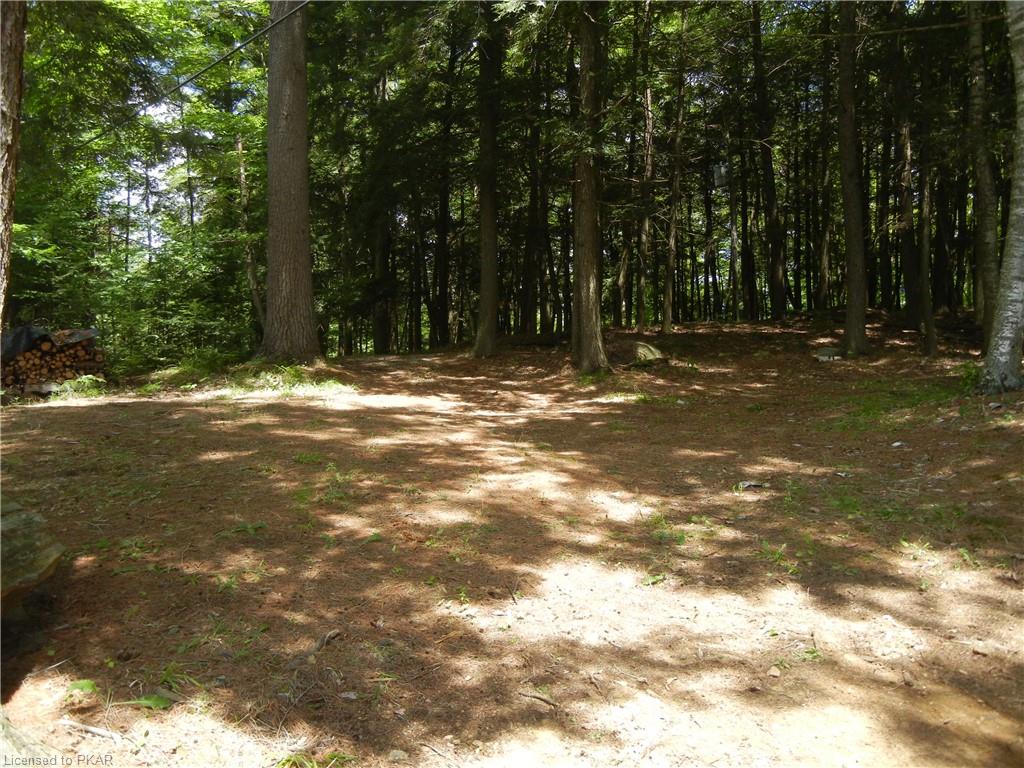 68 FIRE ROUTE 87B Route, Havelock Belmont Methuen, Ontario, Canada