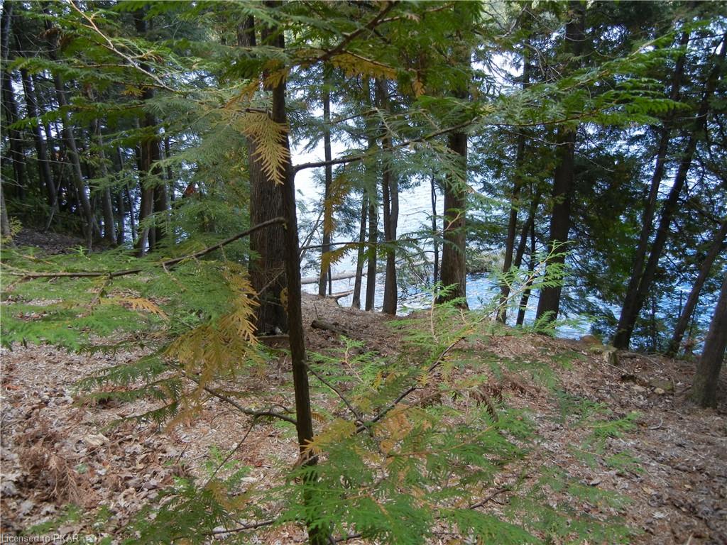 685 PAW Road, North Kawartha Township, Ontario, Canada