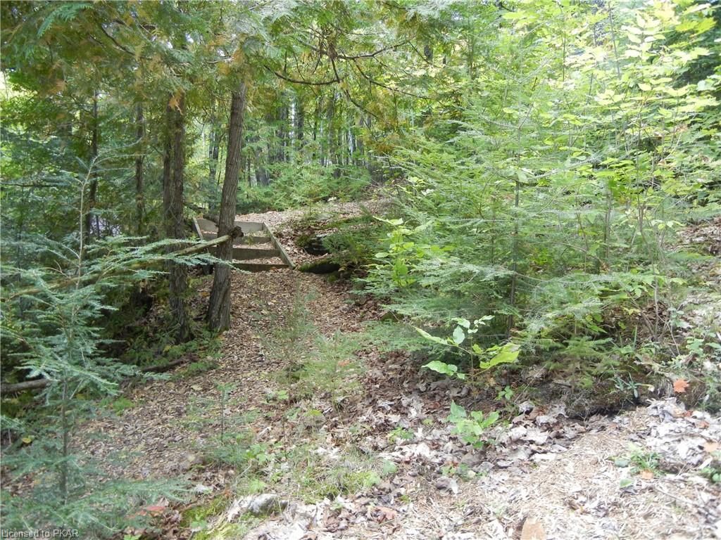 685 PAW Road, North Kawartha Township, Ontario, Canada