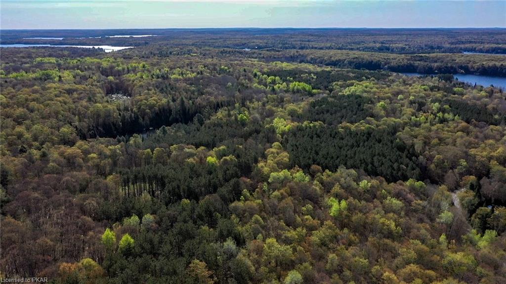 TROTTER-OITMENT Road, North Kawartha Township, Ontario, Canada