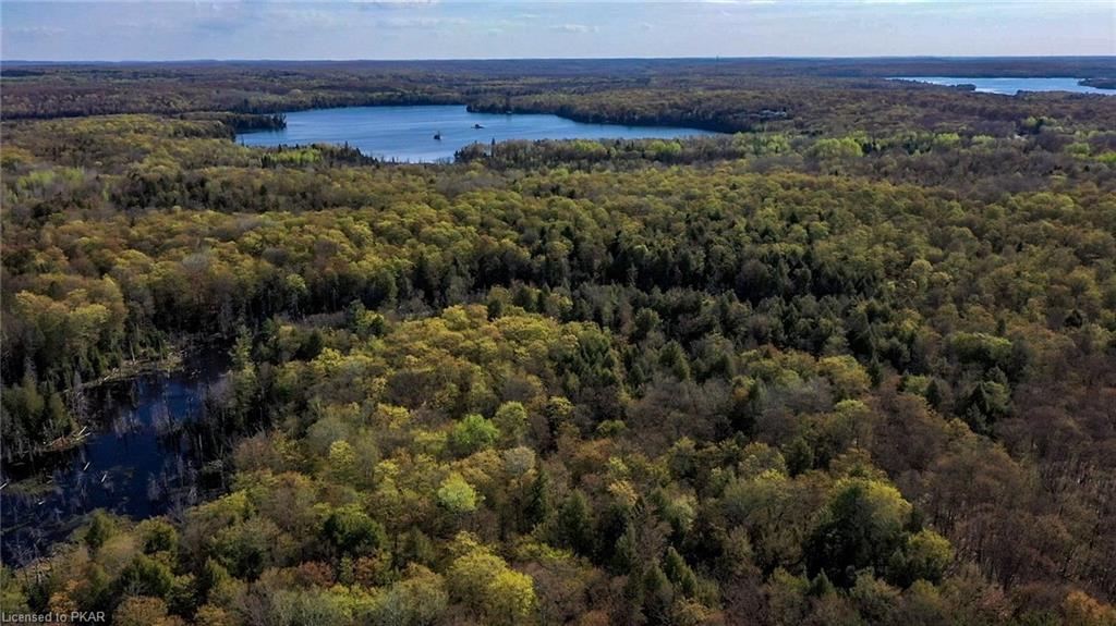 TROTTER-OITMENT Road, North Kawartha Township, Ontario, Canada