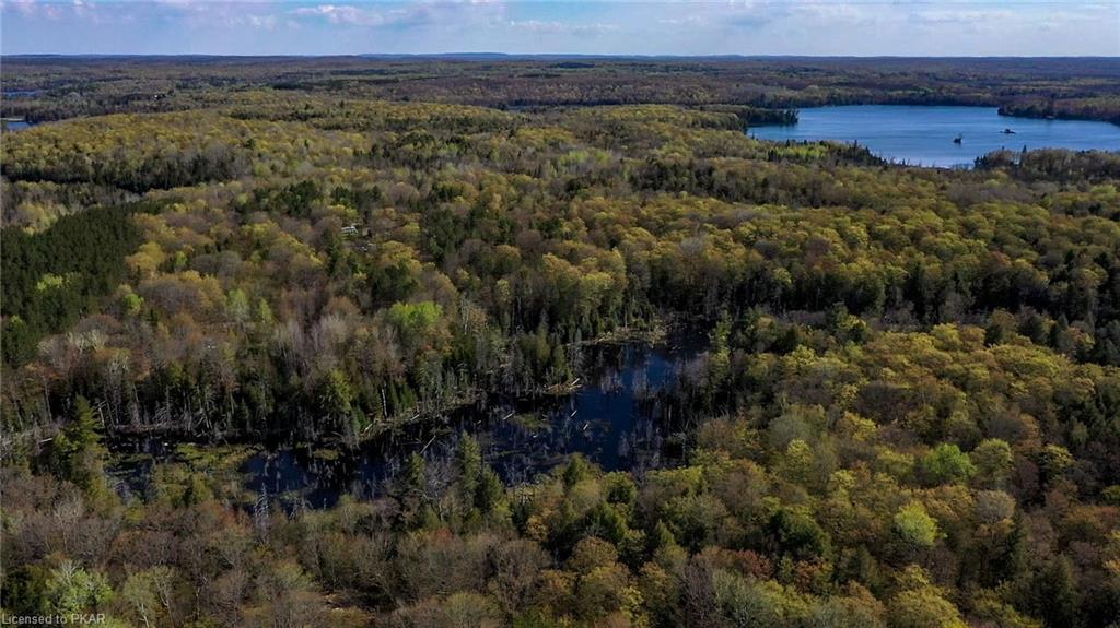 TROTTER-OITMENT Road, North Kawartha Township, Ontario, Canada