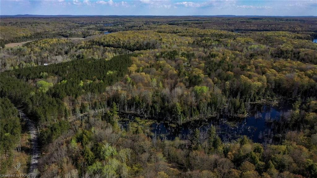 TROTTER-OITMENT Road, North Kawartha Township, Ontario, Canada