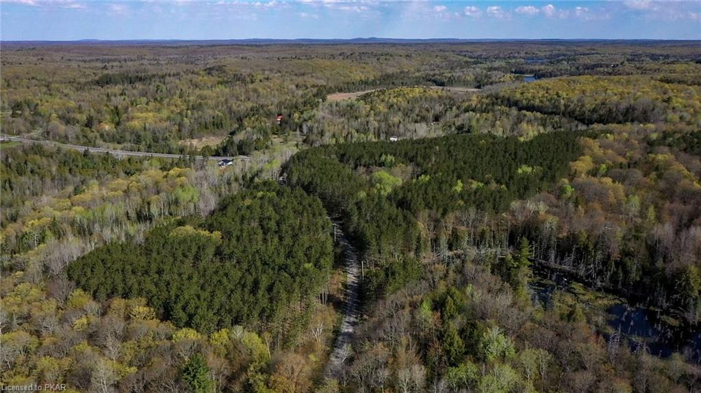 TROTTER-OITMENT Road, North Kawartha Township, Ontario, Canada