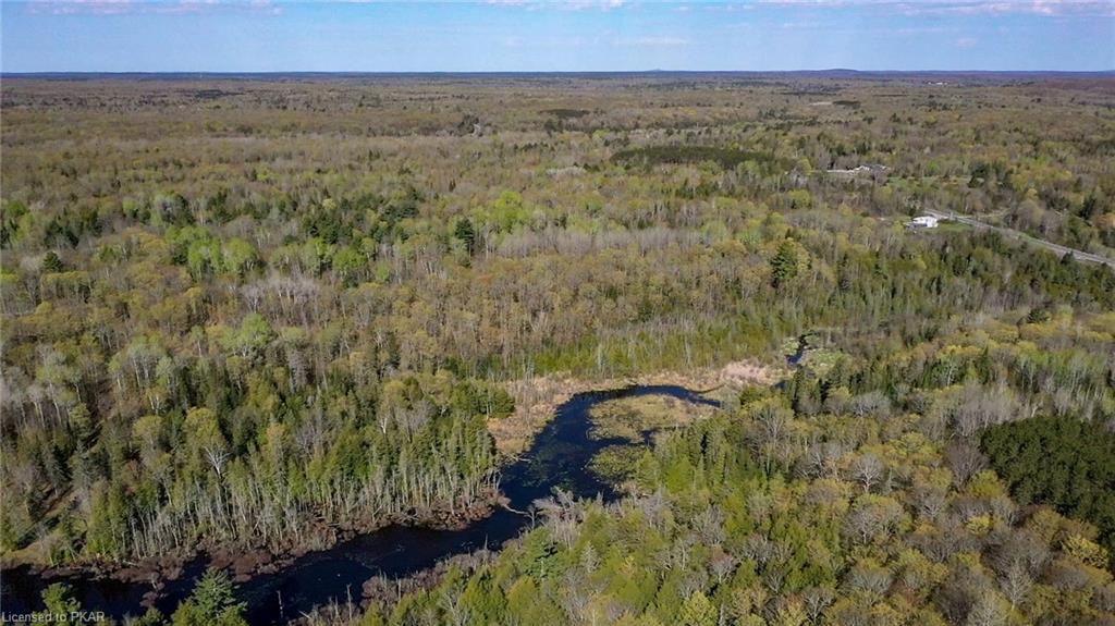 TROTTER-OITMENT Road, North Kawartha Township, Ontario, Canada