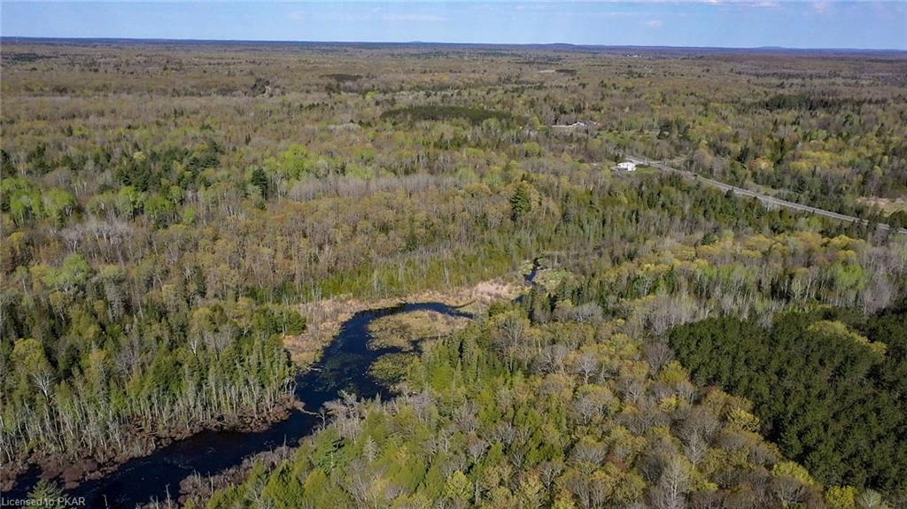 TROTTER-OITMENT Road, North Kawartha Township, Ontario, Canada