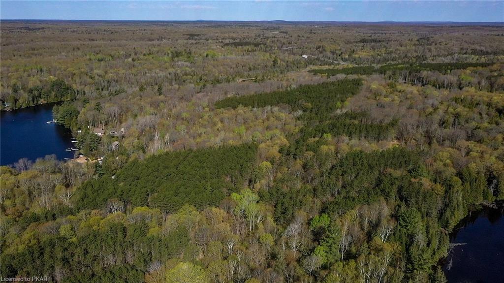TROTTER-OITMENT Road, North Kawartha Township, Ontario, Canada