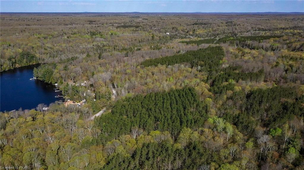 TROTTER-OITMENT Road, North Kawartha Township, Ontario, Canada